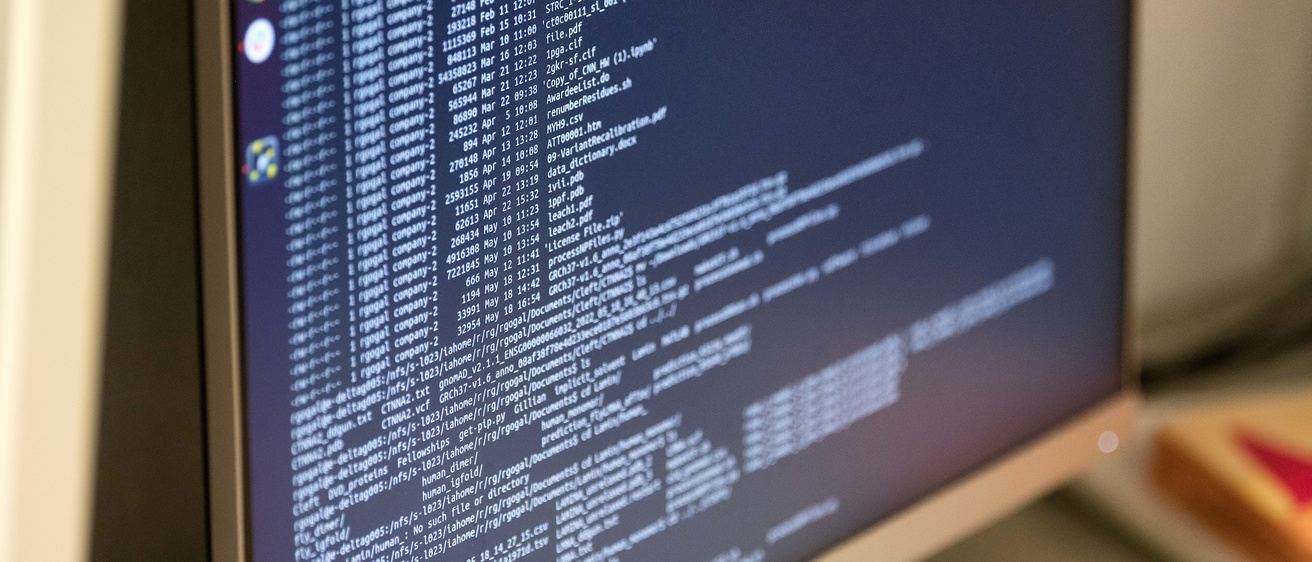 Computer monitor showing lines of code
